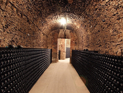 Champagne-millésimé-vs-sans-année Succul’ • Champagne Shop