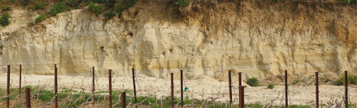 Les terroirs de Champagne Succul’