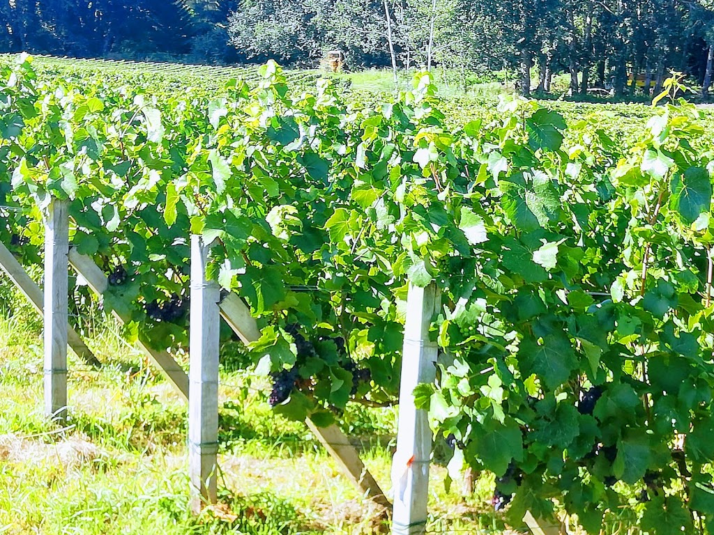 Champagne A. Lamblot à Janvry
