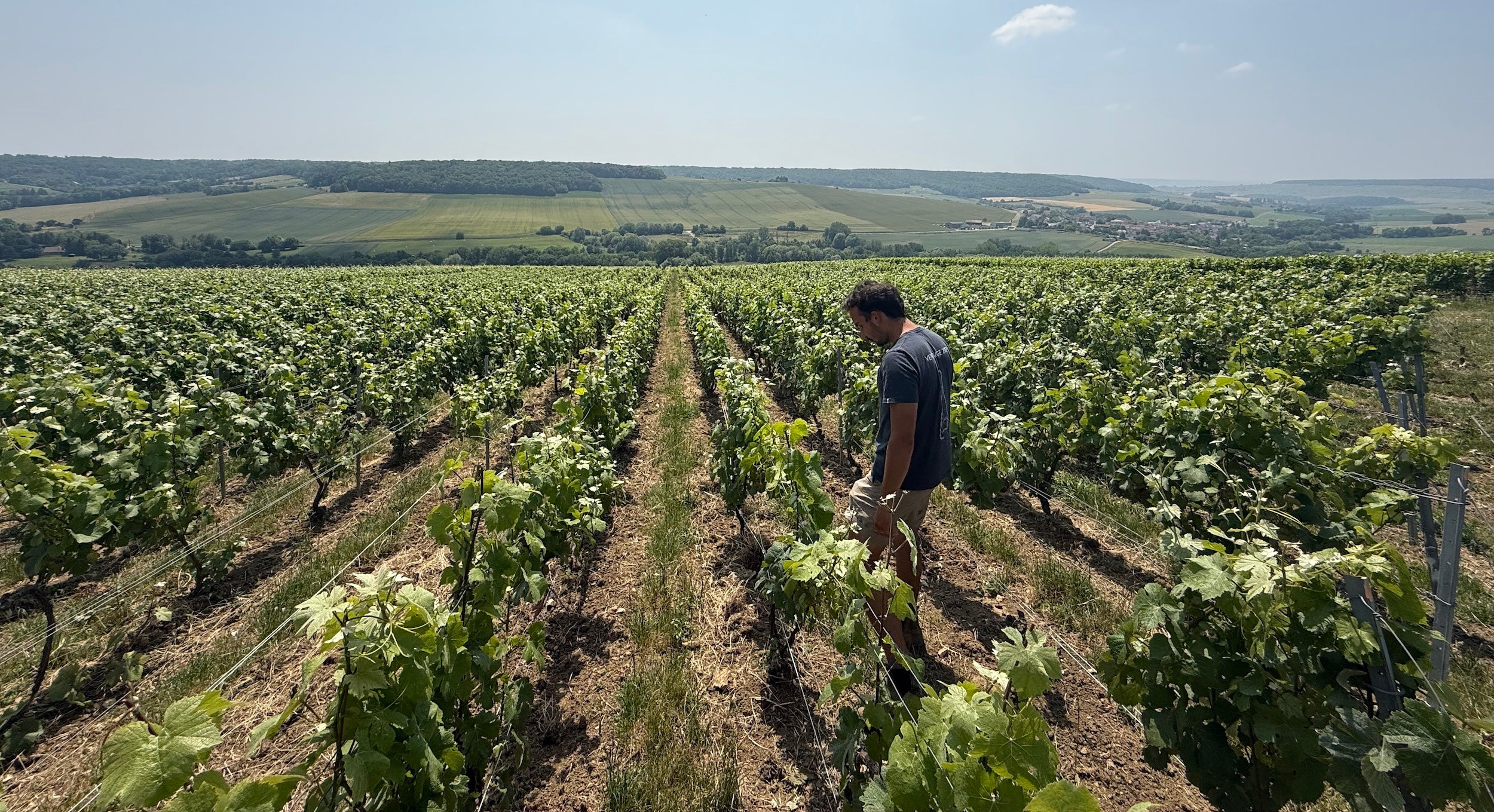 Champagne A. Limar à La Neuville-aux-Larris