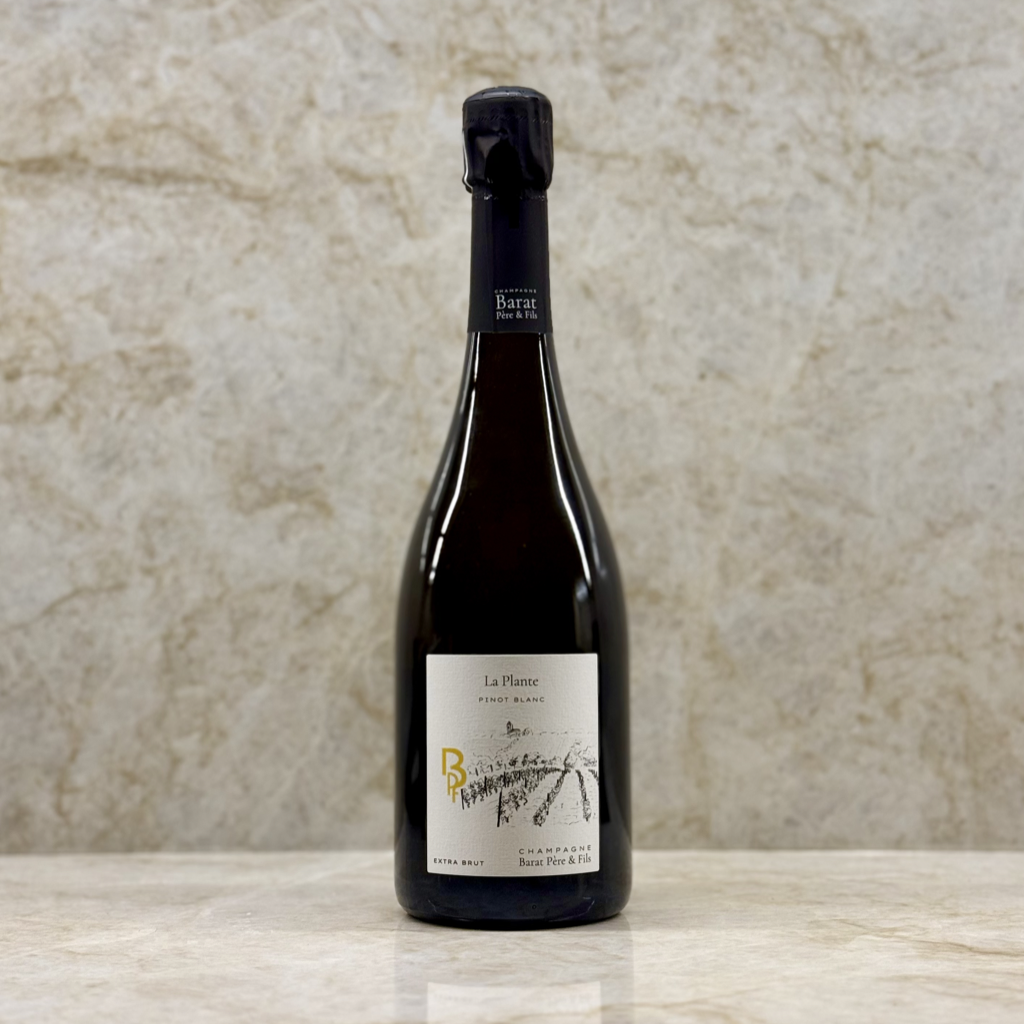 Champagne Jules Barat - La Plante Pinot Blanc