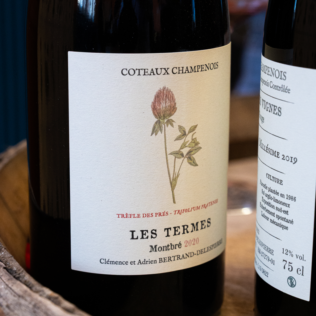 Champagne Bertrand-Delepierre - Les Termes Montbré 2020