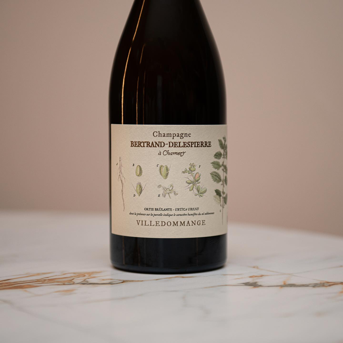 Champagne Bertrand Delespierre Ortie Brulante Villedommange