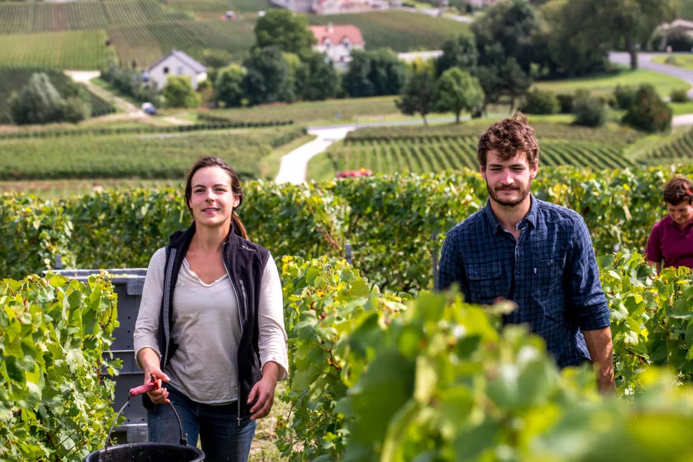 Champagne Bertrand Delespierre