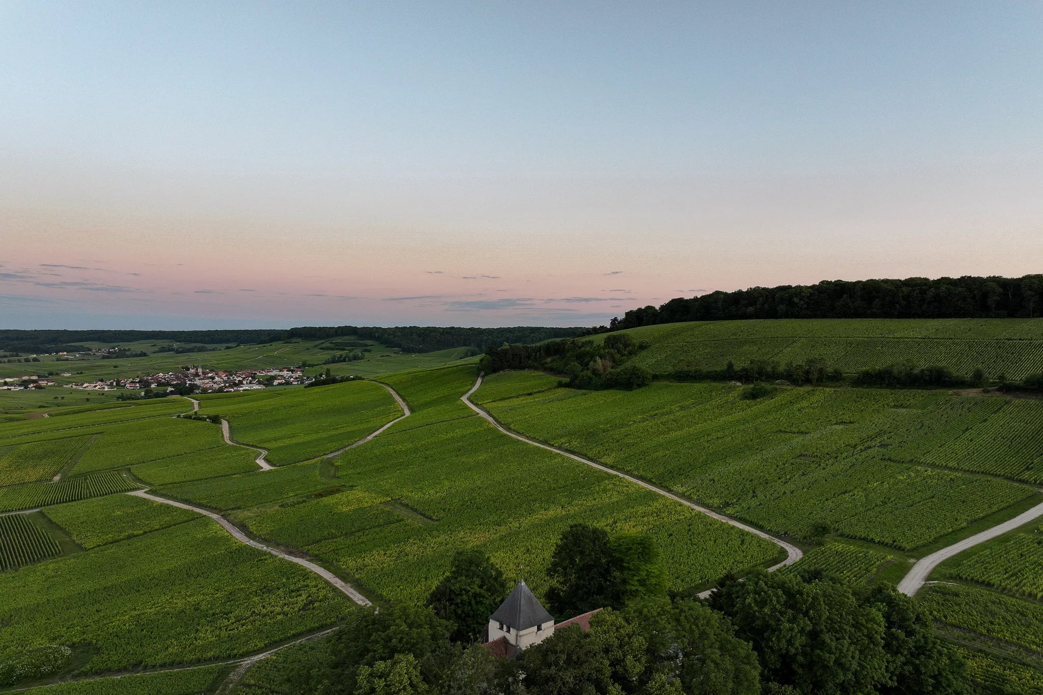 Champagne Brice Allouchery à Écueil