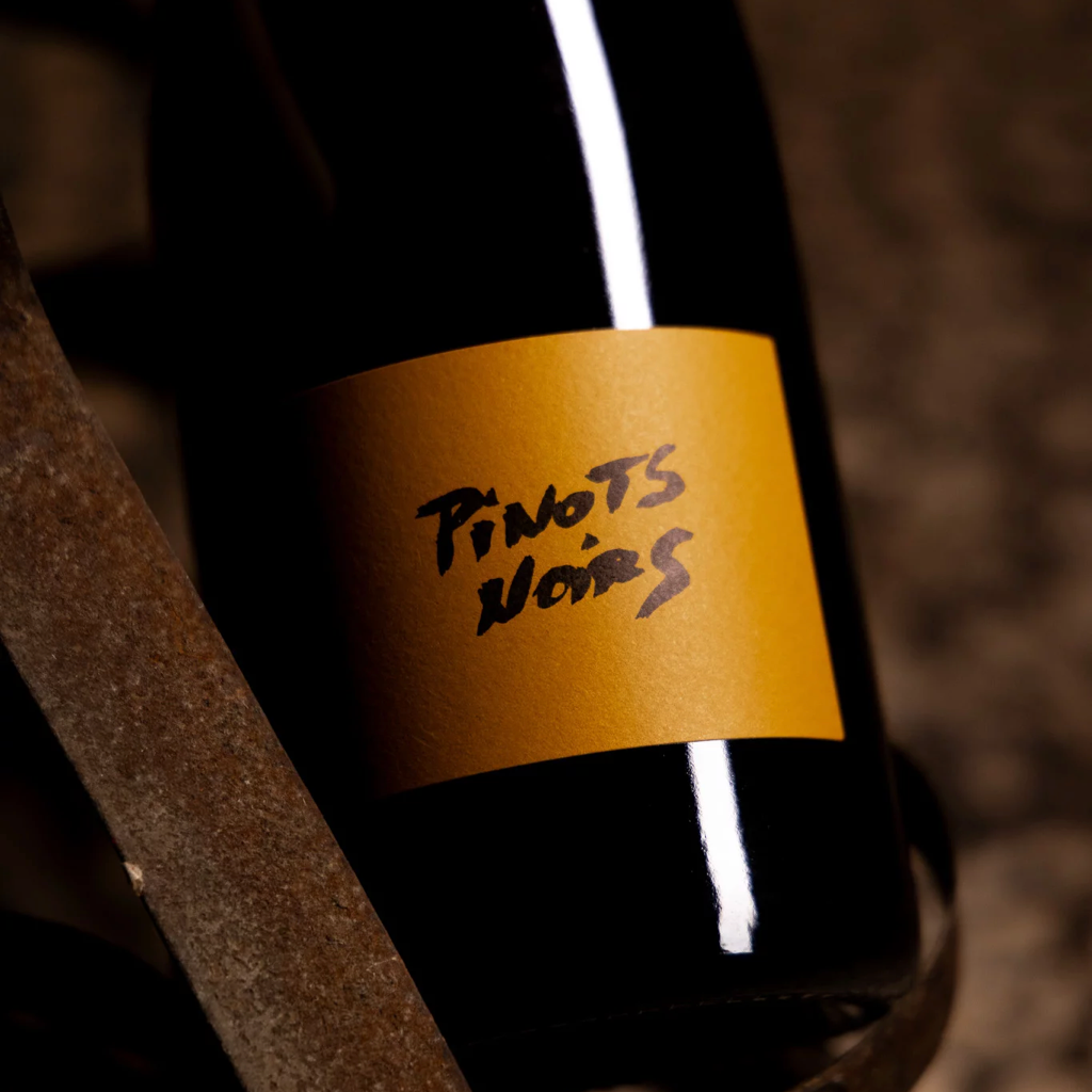Champagne Brice Allouchery - Pinots Noirs