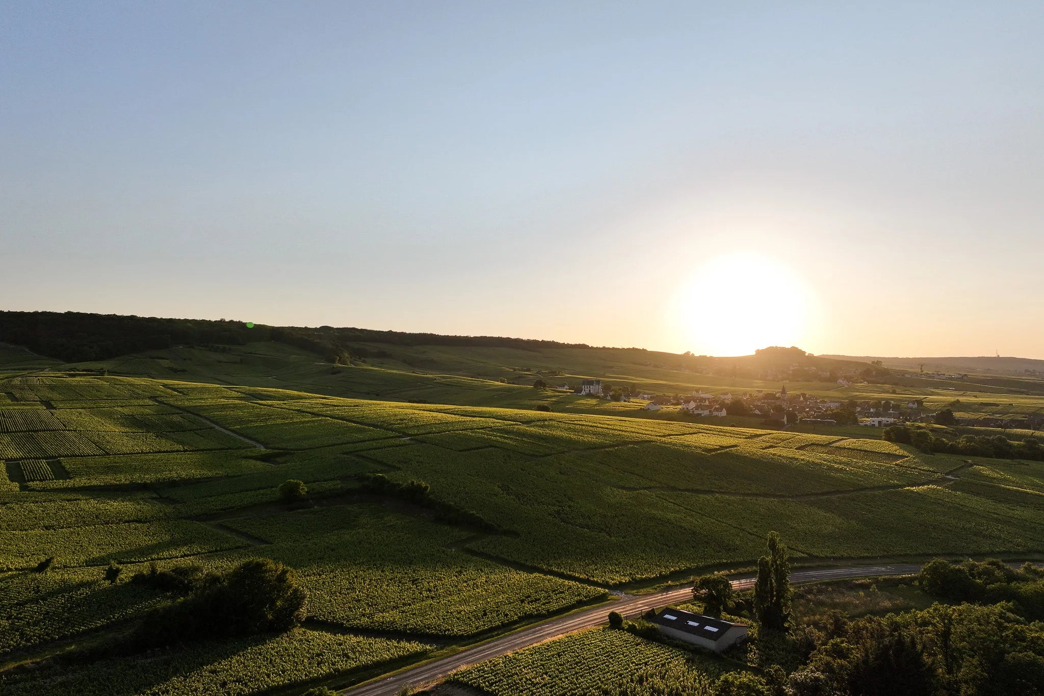 Champagne Brice Allouchery à Sacy