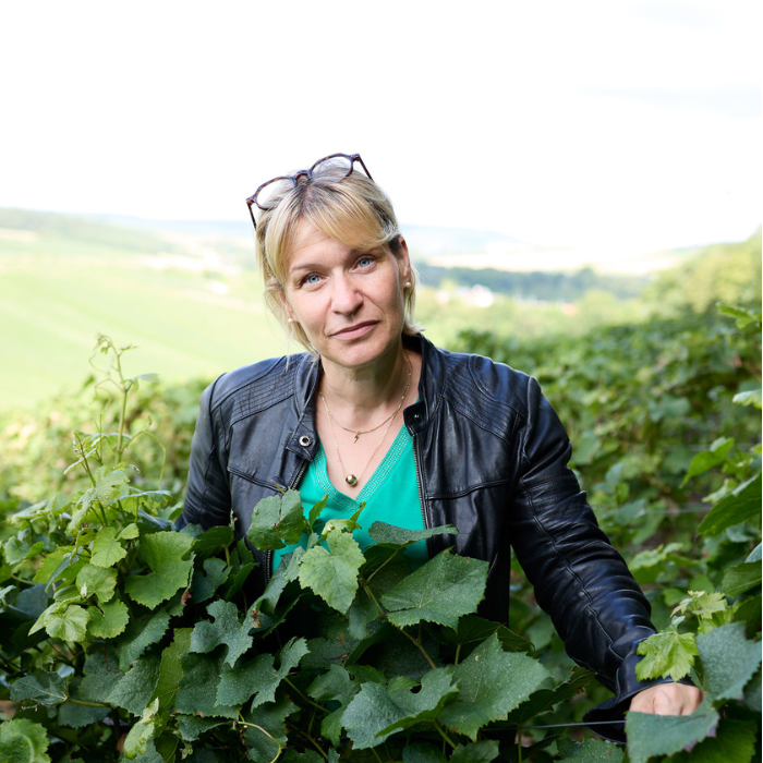 Champagne Domaine des Arondes