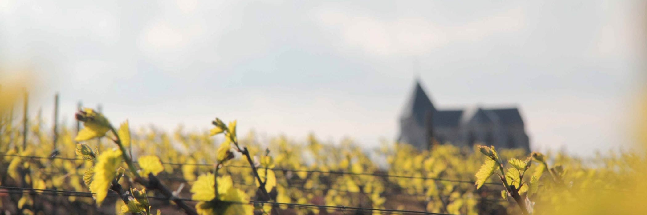 Champagne Laherte Frères Église Saint-Martin de Chavot