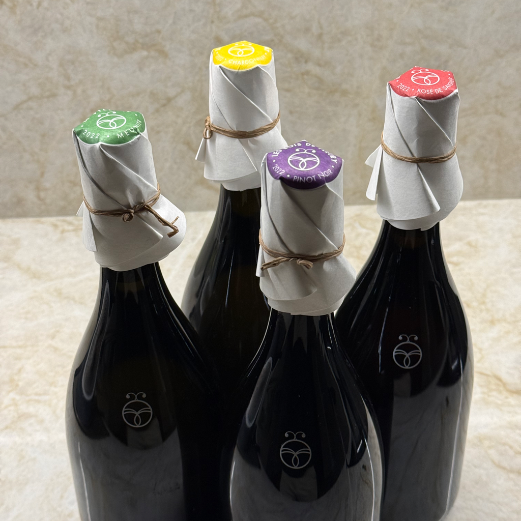 Mathieu Faniel - Les Bois de Fleury 2022 Pinot Noir
