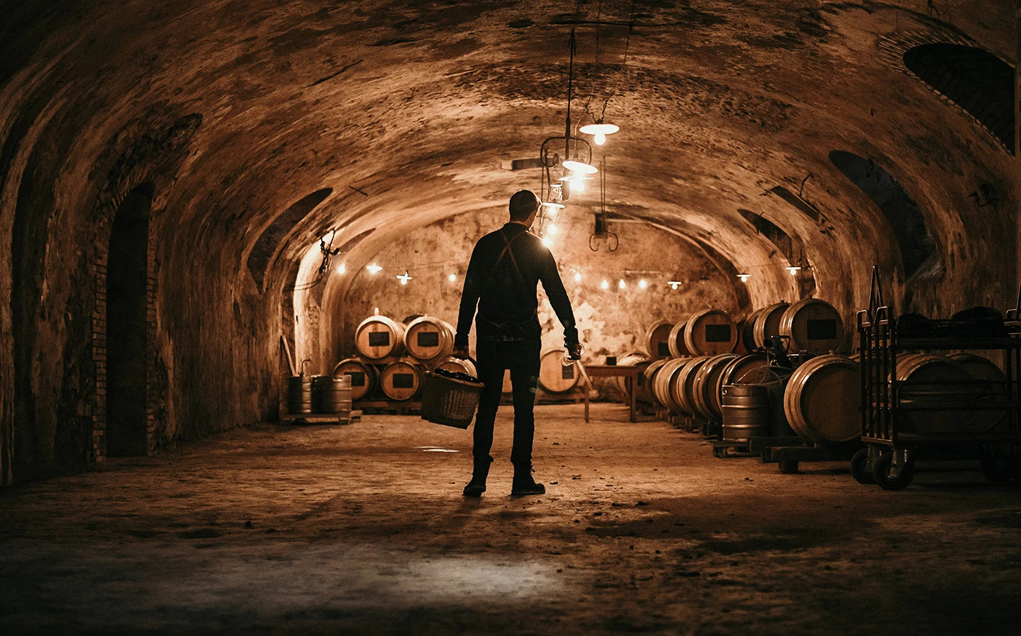 Succul', Caviste en ligne, Champagne Shop, Champagnes de Vignerons