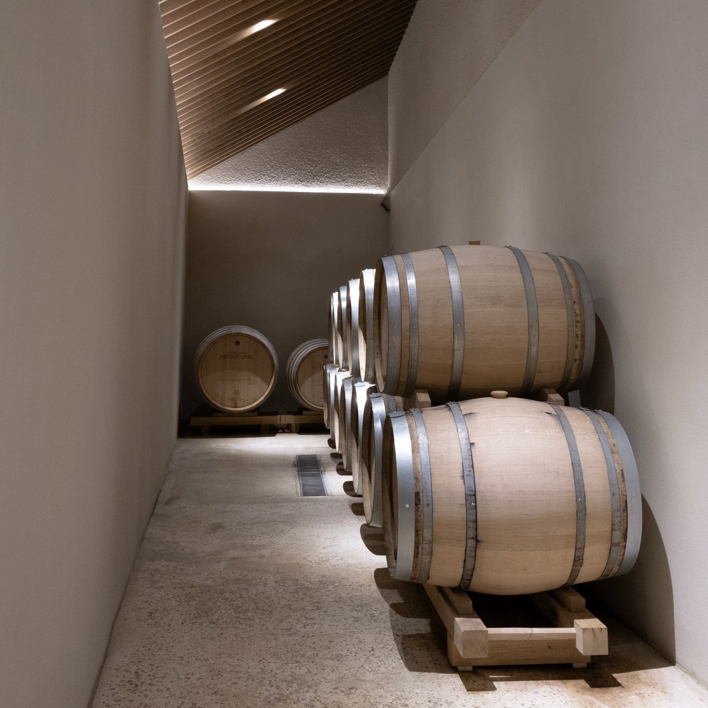 Champagne Patis Pluriel Chai