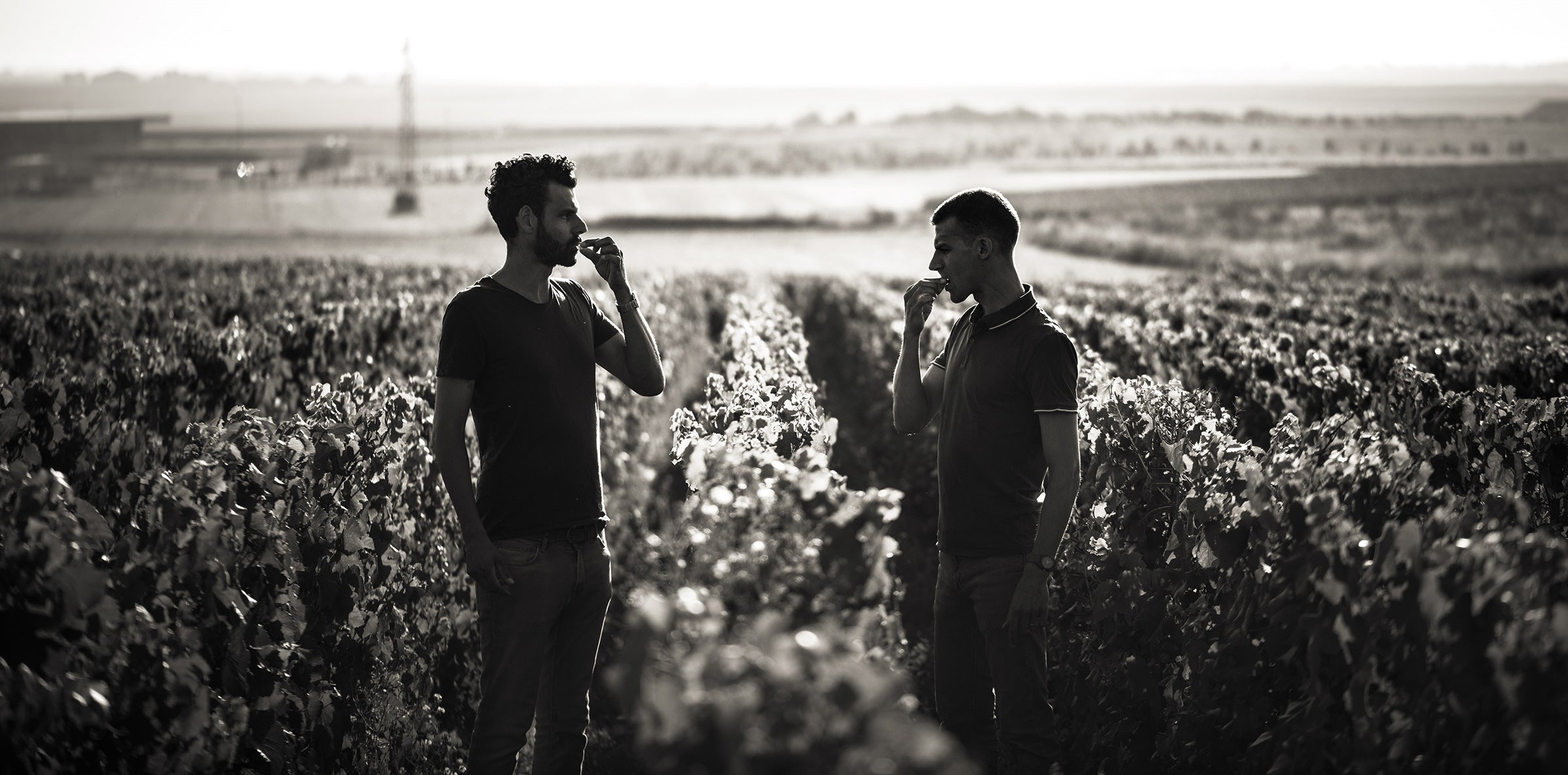 Champagne Pertois-Lebrun - Clément et Antoine