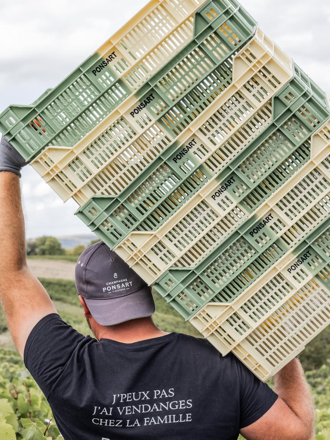 Champagne Ponsart Vendanges