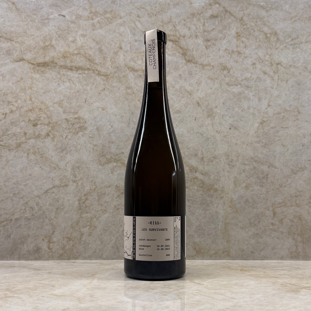 Champagne Tom Gauditiabois Coteaux Champenois - Exploration E | 11 Les Survivants