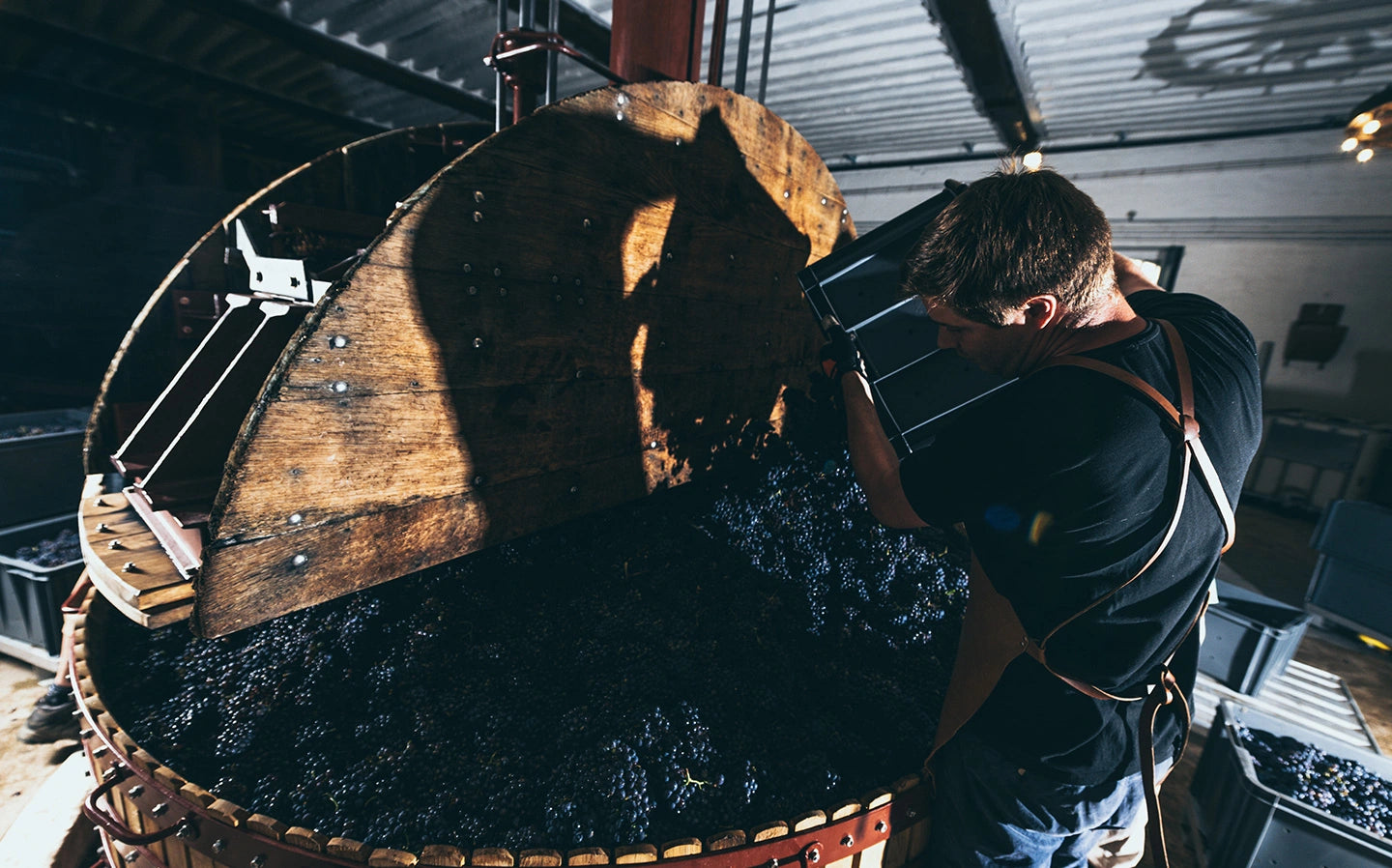 Champagne Ullens Domaine de Marzilly Pressoir