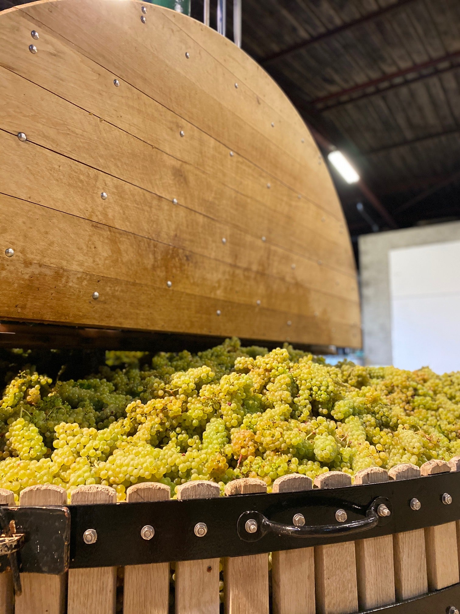 Champagne Vergnon Pressoir