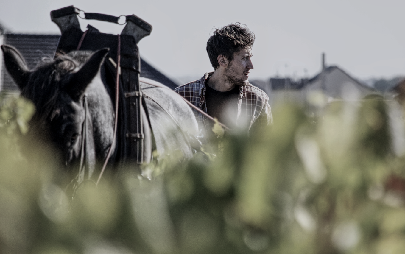 Champagne Waris-Larmandier Pierre-Louis