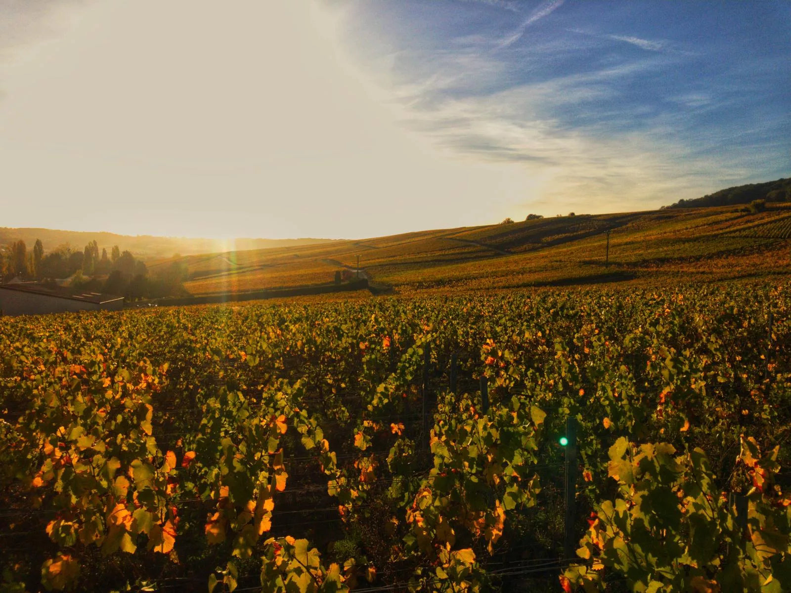 Champagne Wirth Michel