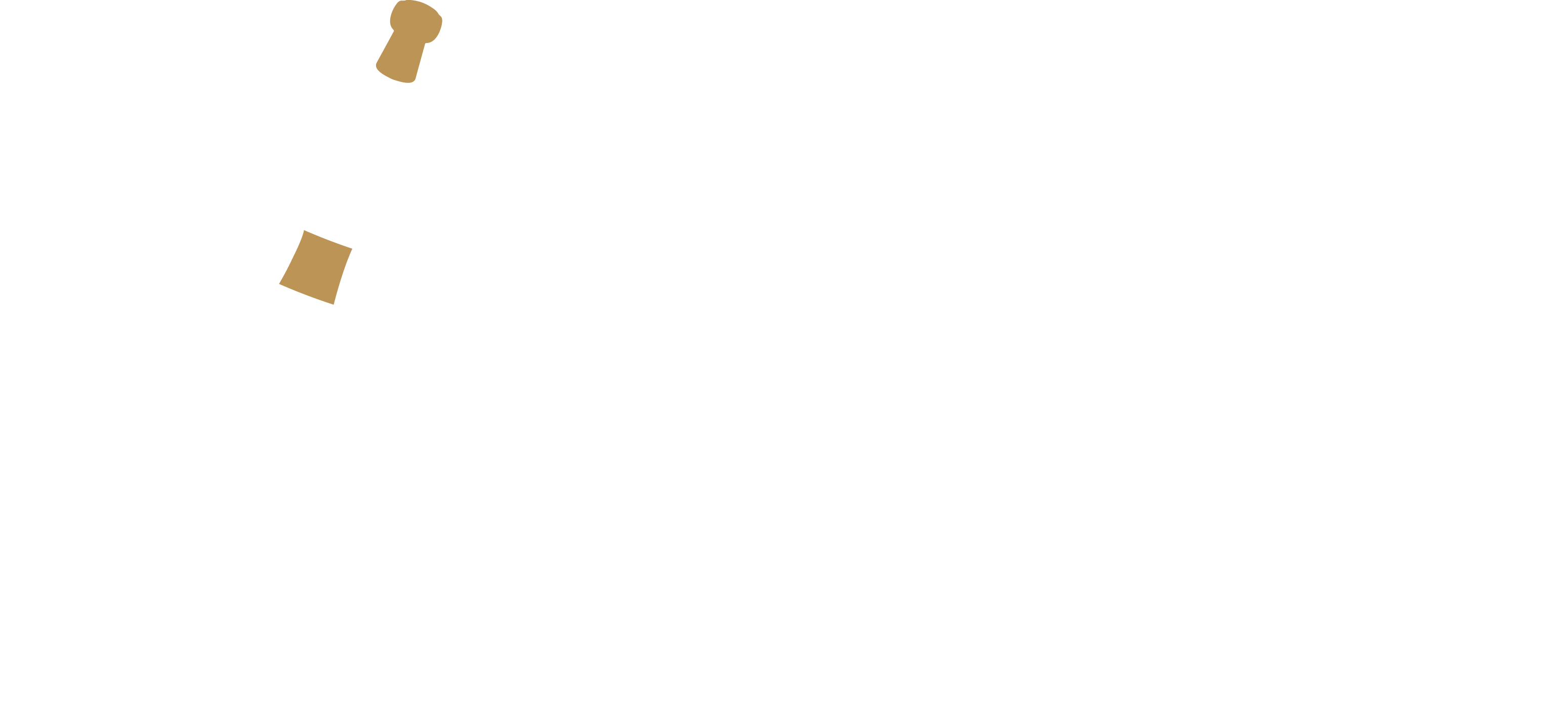 Logo de Succul', caviste en ligne 100% Champagne spécialisé en champagnes de vignerons