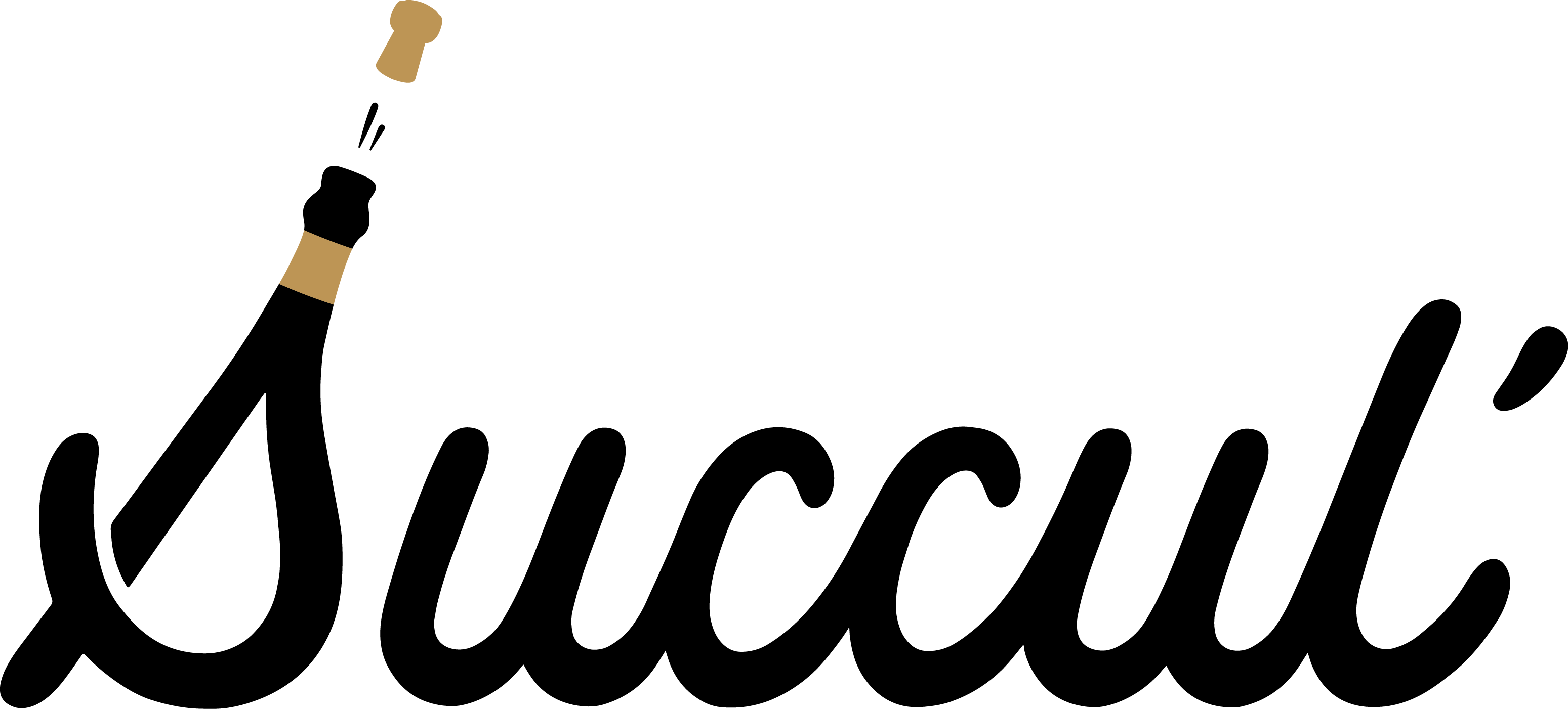 Logo de Succul', caviste en ligne 100% Champagne spécialisé en champagnes de vignerons