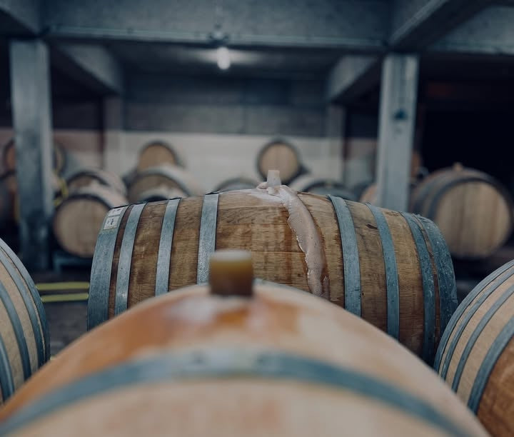 Champagne Alexandre Moreau à Saint-Euphraise-et-Clairizet