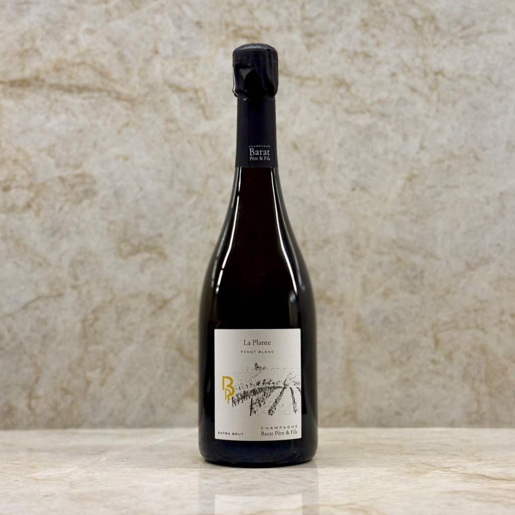 Champagne Jules Barat - La Plante Pinot Blanc