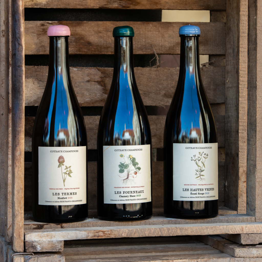 Champagne Bertrand-Delepierre - Coteaux Champenois