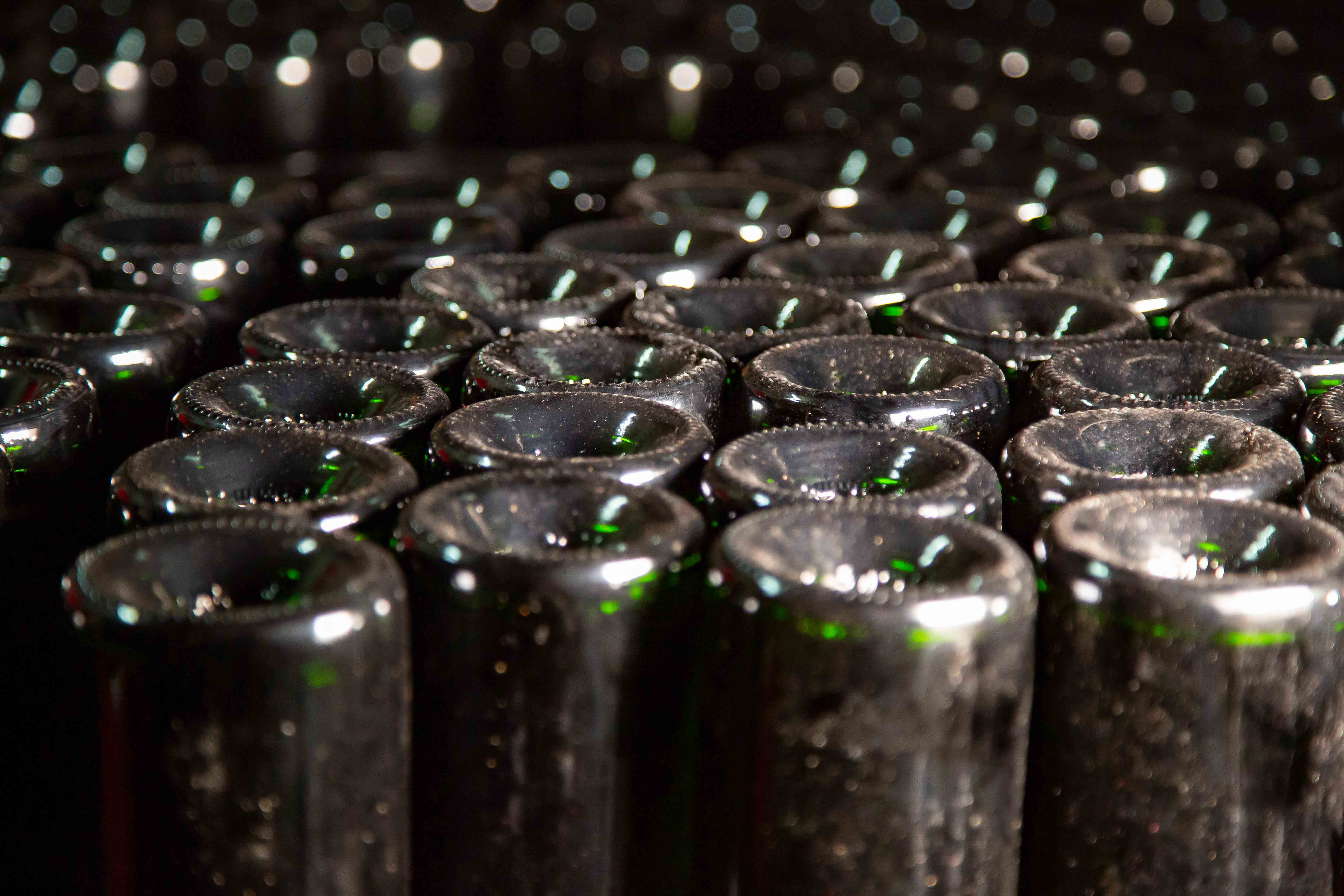 Bouteilles de Champagne Christophe Mignon