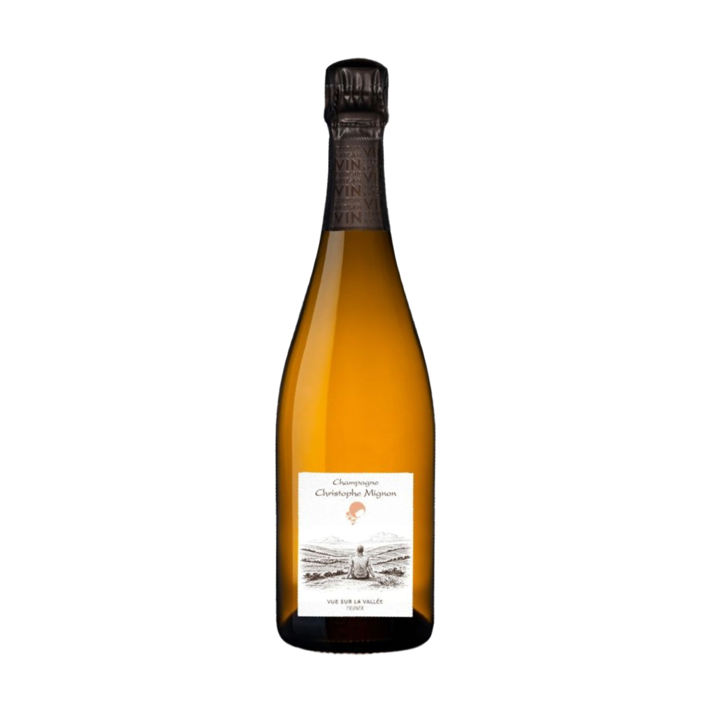Champagne Christophe Mignon - Vue sur la Vallée