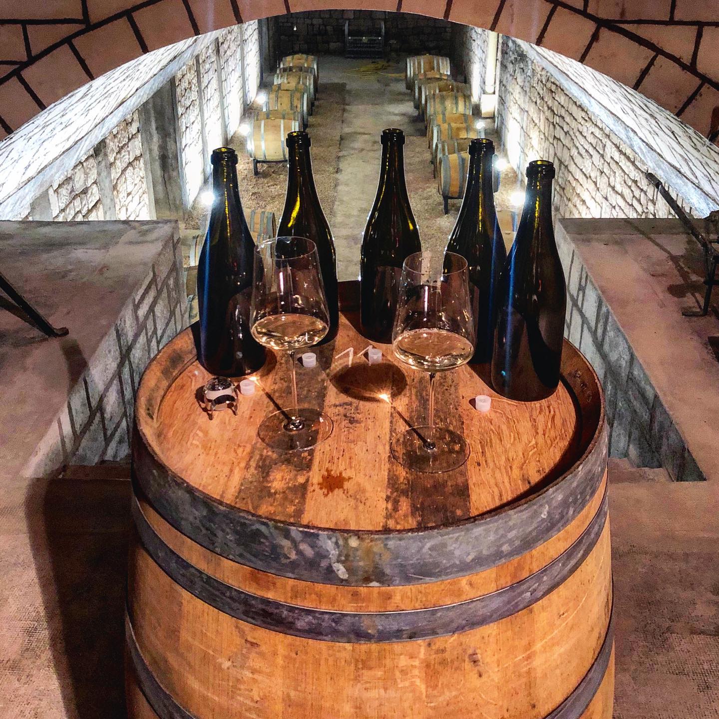 Champagne Domaine Vincey - Succul'