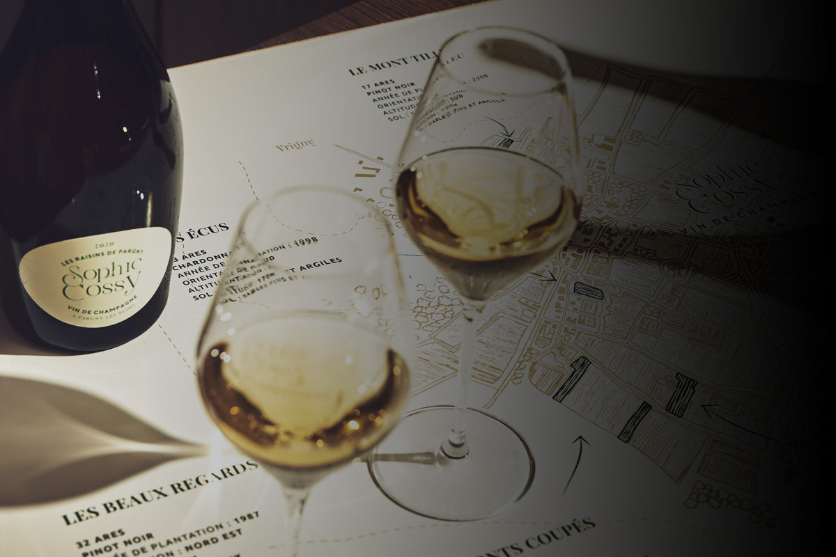 Champagne Sophie Cossy à Pargny-Lès-Reims