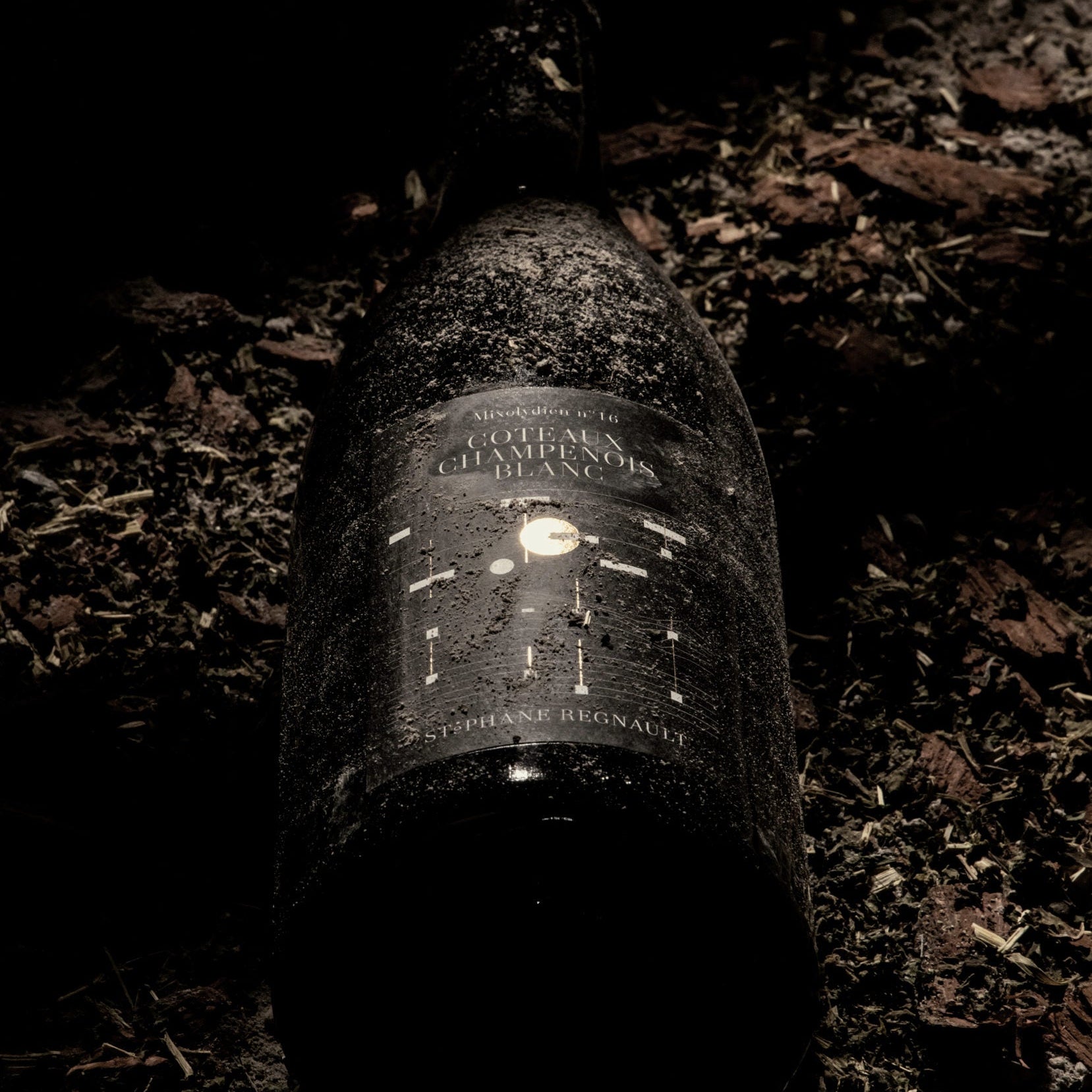 Champagne Stephane Regnault Coteaux Champenois Blanc