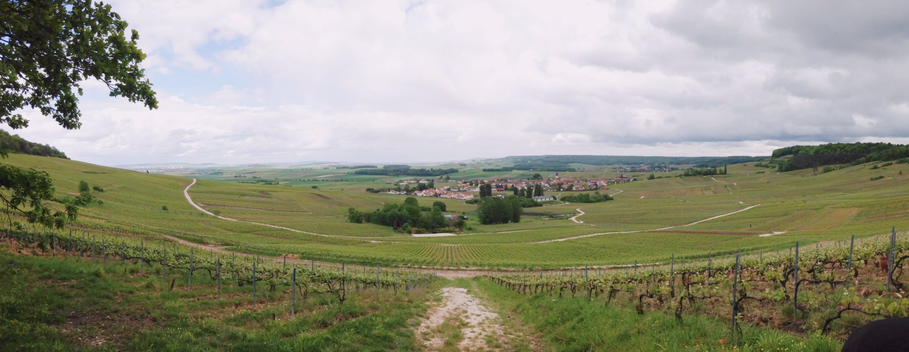 Cirque de Chamery en Champagne