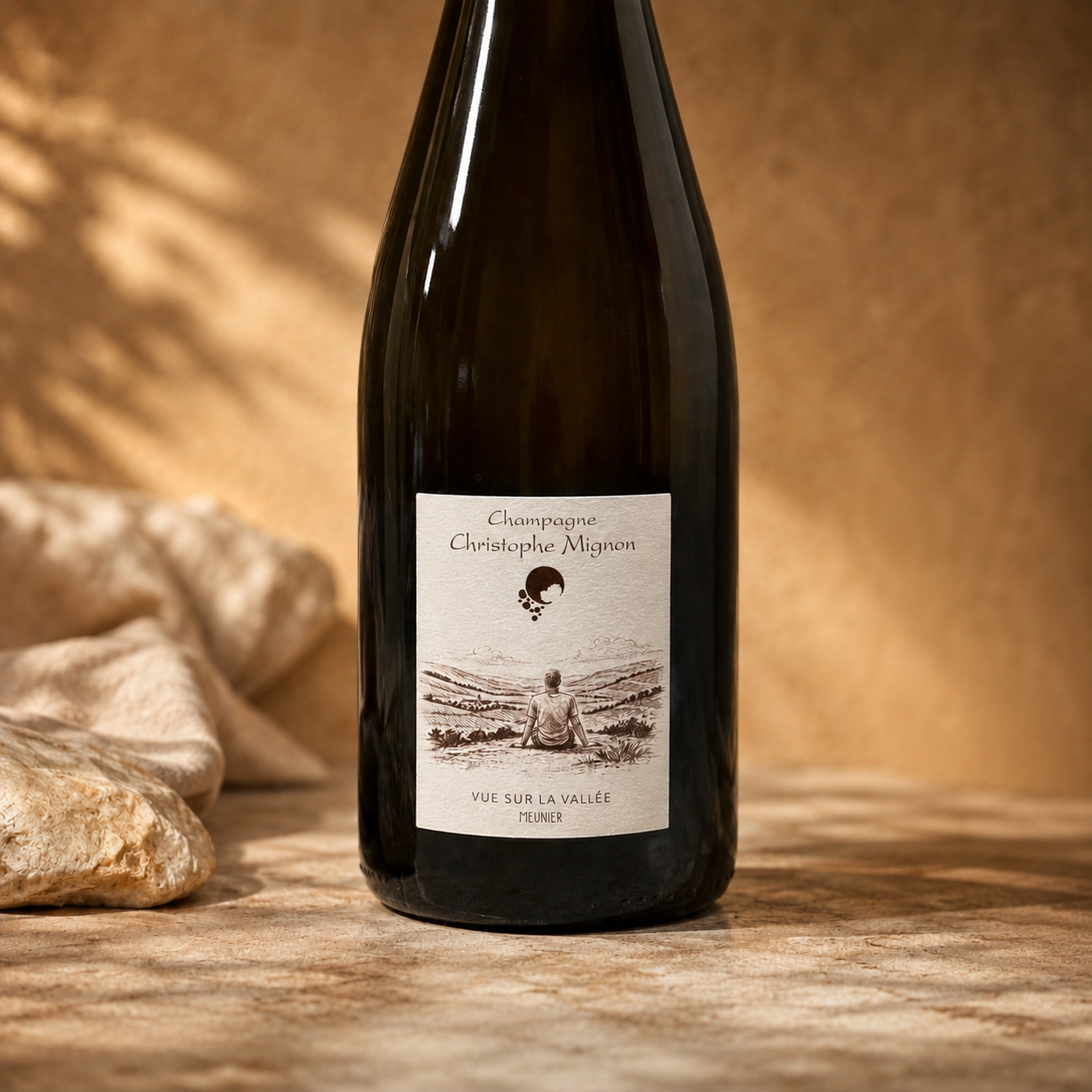 Champagne Christophe Mignon - Vue sur la Vallée - Meunier